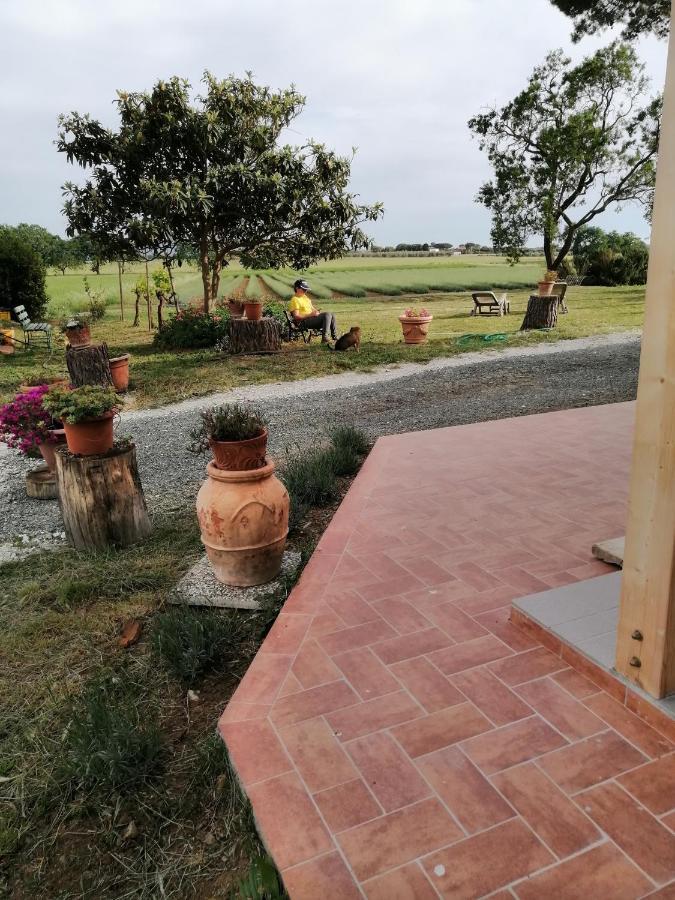 Agriturismo Susanna E Atria Bibbona Exterior foto